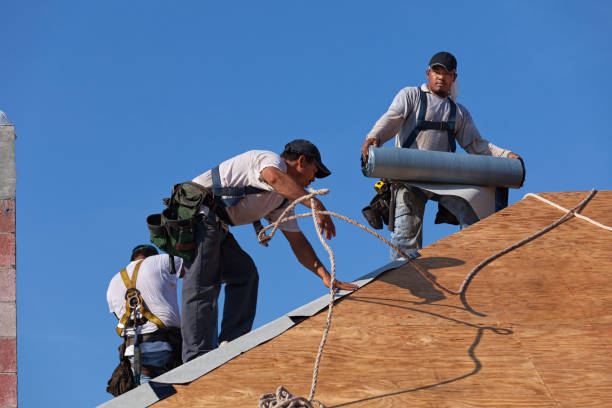 Roof Gutter Cleaning in Honesdale, PA