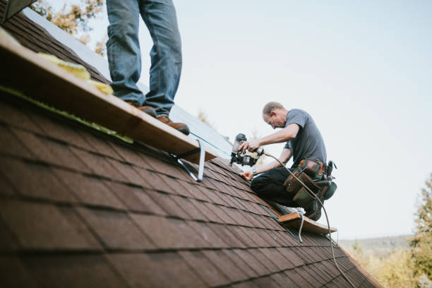 Best Roof Gutter Cleaning  in Honesdale, PA